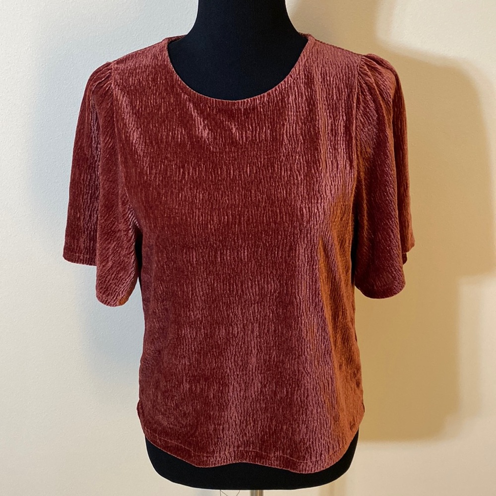 Madewell Texture & Thread Velvet Flutter Sleeve T… - image 1